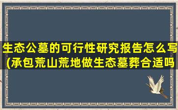 生态公墓的可行性研究报告怎么写(承包荒山荒地做生态墓葬合适吗)
