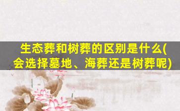 生态葬和树葬的区别是什么(会选择墓地、海葬还是树葬呢)