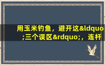 用玉米钓鱼，避开这“三个误区”，连杆爆护也不难