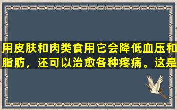 用皮肤和肉类食用它会降低血压和脂肪，还可以治愈各种疼痛。这是如此实用