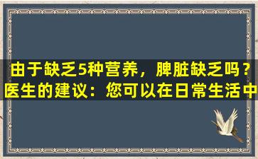 由于缺乏5种营养，脾脏缺乏吗？医生的建议：您可以在日常生活中补充更多补充，以减轻脾脏和胃的负担