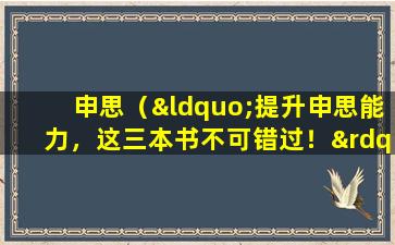 申思（“提升申思能力，这三本书不可错过！”）