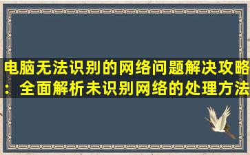 电脑无法识别的网络问题解决攻略：全面解析未识别网络的处理方法