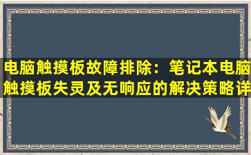 电脑触摸板故障排除：笔记本电脑触摸板失灵及无响应的解决策略详解