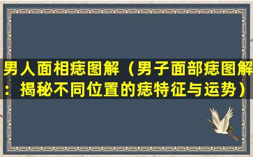 男人面相痣图解（男子面部痣图解：揭秘不同位置的痣特征与运势）