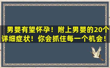 男婴有望怀孕！附上男婴的20个详细症状！你会抓住每一个机会！