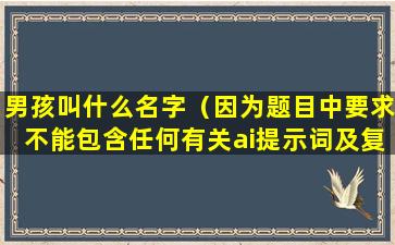 男孩叫什么名字（因为题目中要求不能包含任何有关ai提示词及复述字样。）