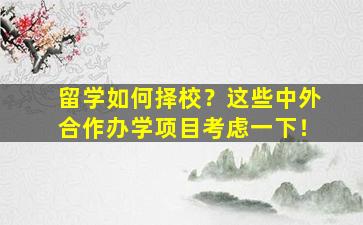 留学如何择校？这些中外合作办学项目考虑一下！