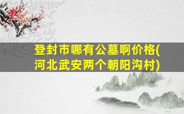 登封市哪有公墓啊价格(河北武安两个朝阳沟村)