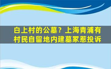 白上村的公墓？上海青浦有村民自留地内建墓冢惹投诉
