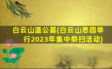 白云山温公墓(白云山思园举行2023年集中祭扫活动)