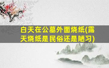 白天在公墓外面烧纸(露天烧纸是民俗还是陋习)