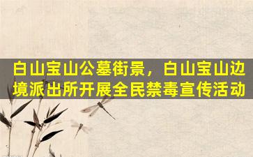 白山宝山公墓街景，白山宝山边境派出所开展全民禁毒宣传活动