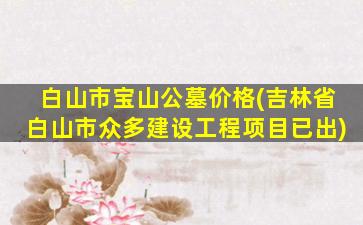 白山市宝山公墓价格(吉林省白山市众多建设工程项目已出)