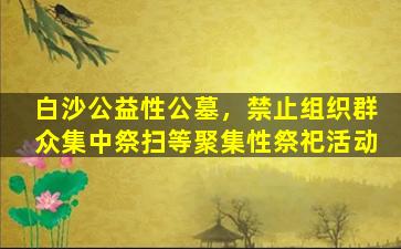 白沙公益性公墓，禁止组织群众集中祭扫等聚集性祭祀活动