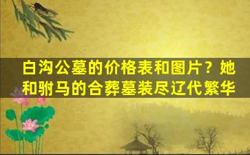 白沟公墓的价格表和图片？她和驸马的合葬墓装尽辽代繁华