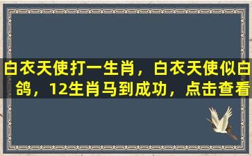 白衣天使打一生肖，白衣天使似白鸽，12生肖马到成功，点击查看答案