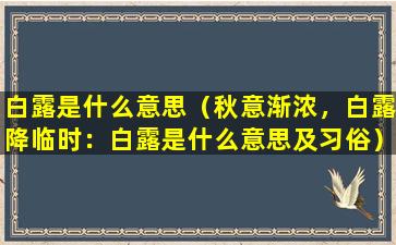 白露是什么意思（秋意渐浓，白露降临时：白露是什么意思及习俗）