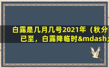 白露是几月几号2021年（秋分已至，白露降临时——2021年白露日期及习俗）