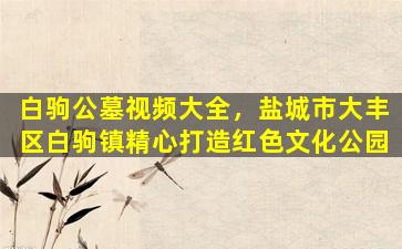 白驹公墓视频大全，盐城市大丰区白驹镇精心打造红色文化公园