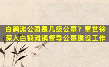 白鹤滩公园是几级公墓？童世铃深入白鹤滩镇督导公墓建设工作