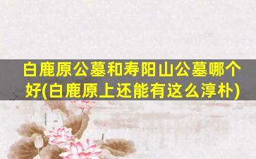 白鹿原公墓和寿阳山公墓哪个好(白鹿原上还能有这么淳朴)