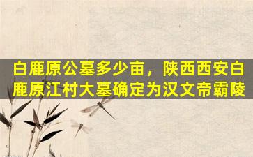 白鹿原公墓多少亩，陕西西安白鹿原江村大墓确定为汉文帝霸陵