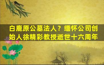 白鹿原公墓法人？缅怀公司创始人徐精彩教授逝世十六周年