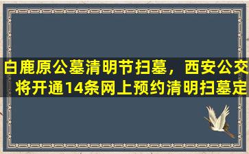 白鹿原公墓清明节扫墓，西安公交将开通14条网上预约清明扫墓定制线路