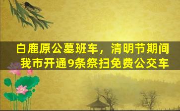 白鹿原公墓班车，清明节期间我市开通9条祭扫免费公交车