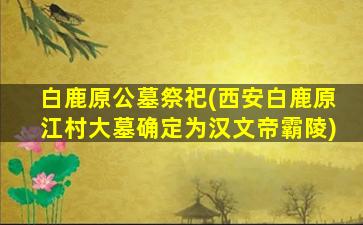 白鹿原公墓祭祀(西安白鹿原江村大墓确定为汉文帝霸陵)