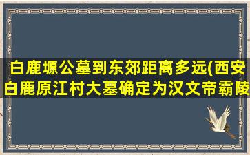 白鹿塬公墓到东郊距离多远(西安白鹿原江村大墓确定为汉文帝霸陵)