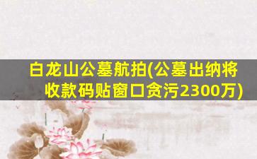 白龙山公墓航拍(公墓出纳将收款码贴窗口贪污2300万)