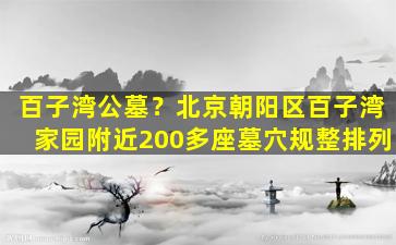 百子湾公墓？北京朝阳区百子湾家园附近200多座墓穴规整排列