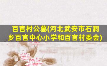 百官村公墓(河北武安市石洞乡百官中心小学和百官村委会)