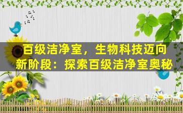 百级洁净室，生物科技迈向新阶段：探索百级洁净室奥秘