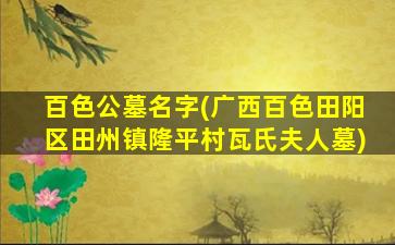 百色公墓名字(广西百色田阳区田州镇隆平村瓦氏夫人墓)