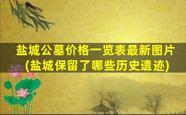 盐城公墓价格一览表最新图片(盐城保留了哪些历史遗迹)