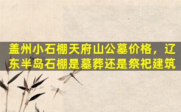 盖州小石棚天府山公墓价格，辽东半岛石棚是墓葬还是祭祀建筑