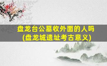 盘龙台公墓收外面的人吗(盘龙城遗址考古意义)