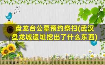 盘龙台公墓预约祭扫(武汉盘龙城遗址挖出了什么东西)