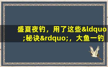 盛夏夜钓，用了这些“秘诀”，大鱼一钓一个准