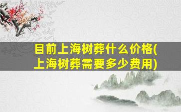 目前上海树葬什么价格(上海树葬需要多少费用)