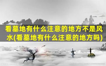 看墓地有什么注意的地方不是风水(看墓地有什么注意的地方吗)