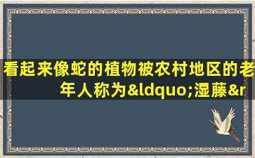看起来像蛇的植物被农村地区的老年人称为“湿藤”。我没想到它会产生很多效果。