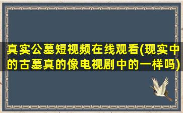 真实公墓短视频在线观看(现实中的古墓真的像电视剧中的一样吗)