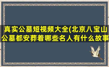 真实公墓短视频大全(北京八宝山公墓都安葬着哪些名人有什么故事)