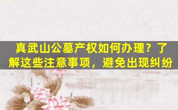 真武山公墓产权如何办理？了解这些注意事项，避免出现纠纷