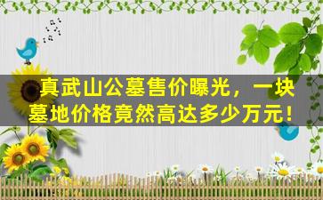 真武山公墓售价曝光，一块墓地价格竟然高达多少万元！