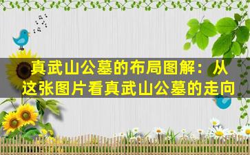 真武山公墓的布局图解：从这张图片看真武山公墓的走向